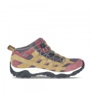 Merrell A.Four Moab GORE-TEX® Cipő Férfi Barna | ME0168-HU