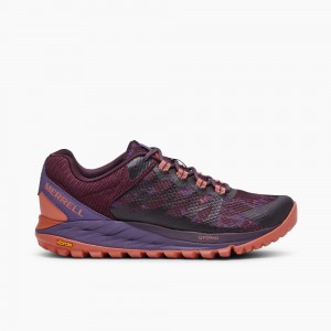 Merrell Antora 2 Cipő Női Lila | ME0780-HU