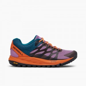 Merrell Antora 2 X See America Cipő Női Lila | ME0792-HU