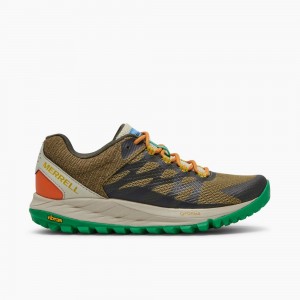 Merrell Antora 2 X See America Cipő Női Olivazöld | ME0794-HU