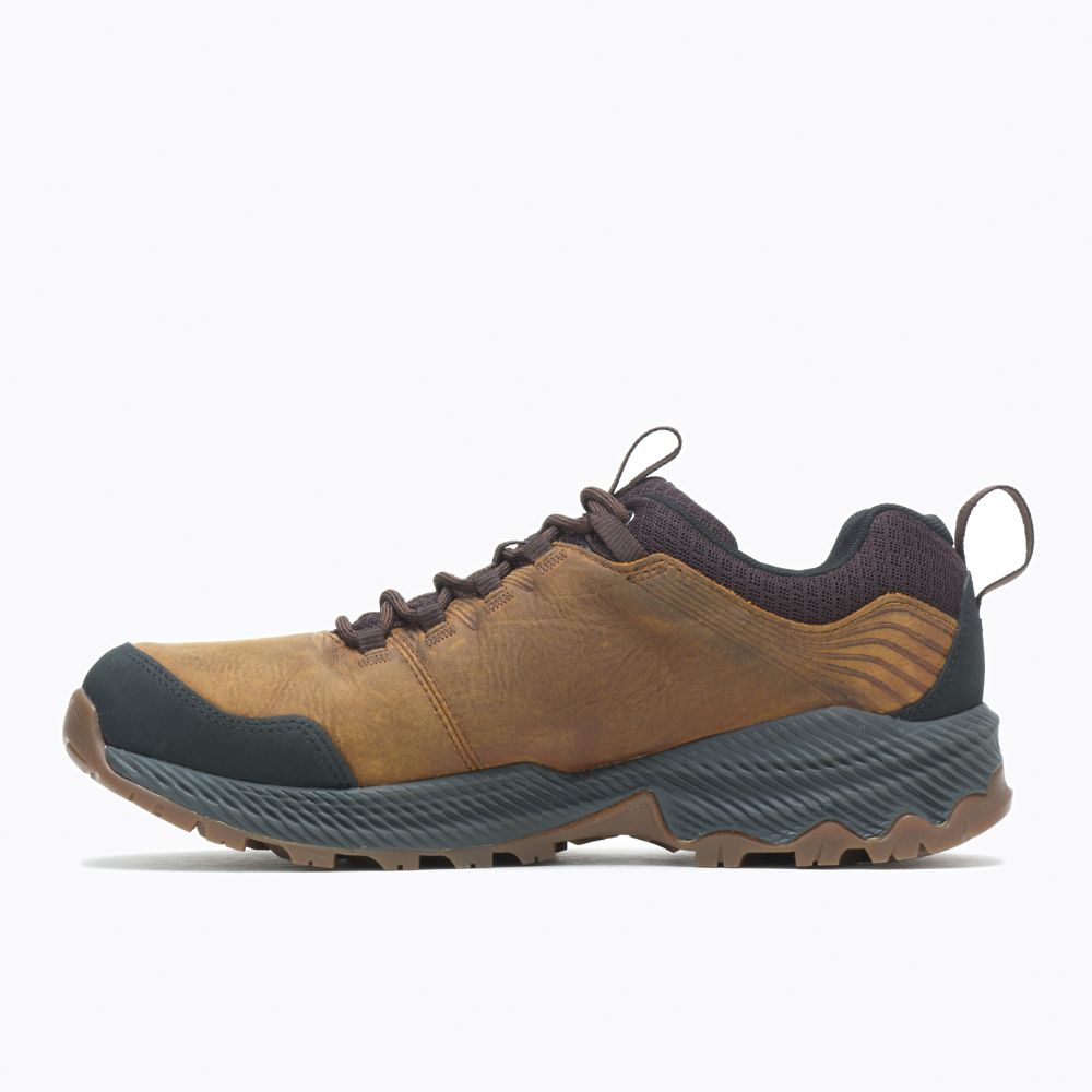 Merrell Forestbound Waterproof Vízálló Cipő Férfi Barna | ME0543-HU