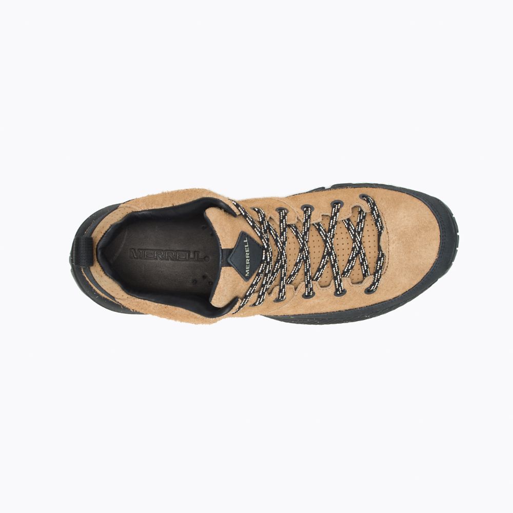 Merrell MQM Ace Leather Cipő Férfi Barna | ME0298-HU